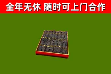 桦南县回收海参